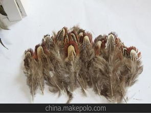 舞臺服裝輔料供應(yīng)商與批發(fā)市場全攻略 采購策略與價(jià)格解析