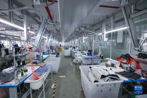 湖州童裝之都 以輔料制造為基石，從“做產(chǎn)品”到“創(chuàng)品牌”的產(chǎn)業(yè)升級之路